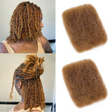BLL Afro Kinkys Bulk Human Hair For Mini Twist 100% Real Hair Extensions 1 Pack 50G