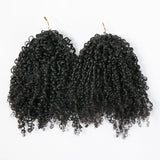 Multi-Textured Afro Kinky Curly Feather Crochet Human Hair Extensions