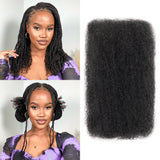 BLL Afro Kinkys Bulk Human Hair-100% Human Hair for Mini Twist Braiding Dreadlock Loc Extensions