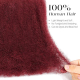 BLL 99J Burdundy Afro Kinkys Bulk Human Hair-100% Human Hair for Mini Twist Braiding Dreadlock Loc Extensions