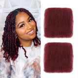 BLL Afro Kinkys Bulk Human Hair For Mini Twist 100% Real Hair Extensions 1 Pack 50G